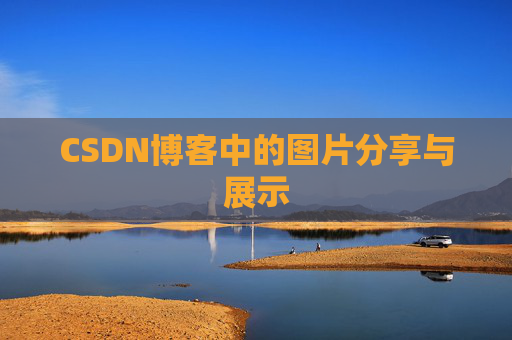 CSDN博客中的图片分享与展示